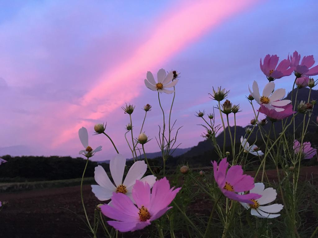 A Private Retreat Cotton Club Cottage Takamori المظهر الخارجي الصورة